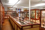 museum de histoire naturelle rouen 8-2021 9405